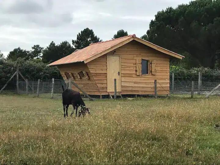 Gite - La Ferme A La Plage 勒波日 外观 照片